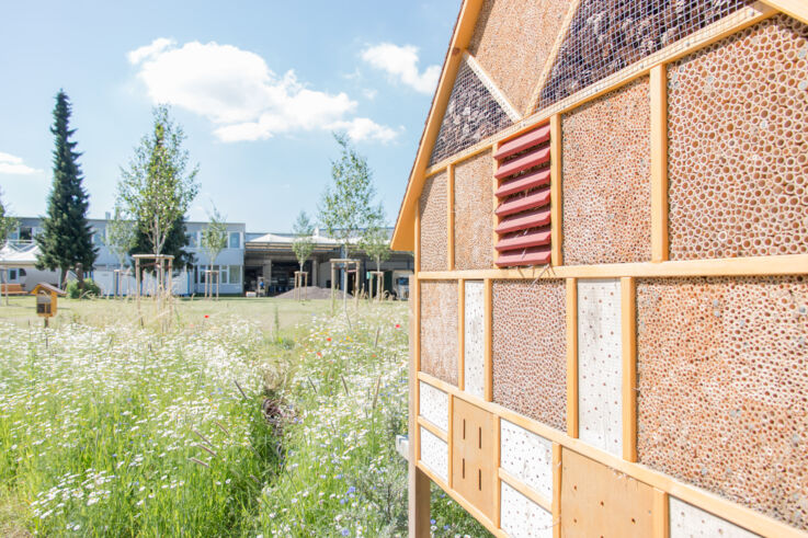 Ansicht Bienenstock und Biotop auf dem GEZE-Gelände