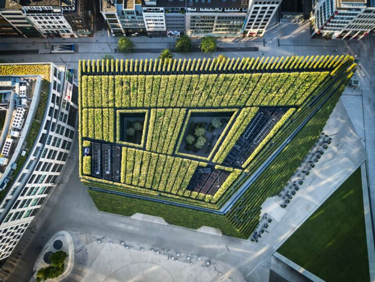 Green roofs are an essential part of climate protection: the plants absorb CO2 and help clean the air.