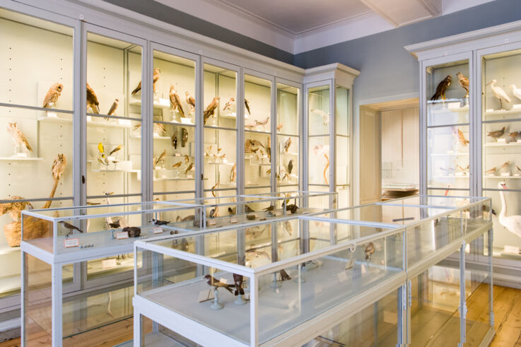Muséum d'Histoire Naturelle La Rochelle