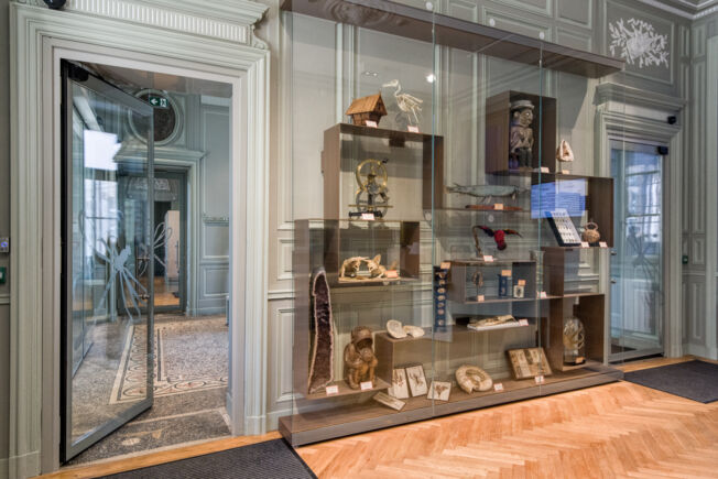 Muséum d'Histoire Naturelle La Rochelle