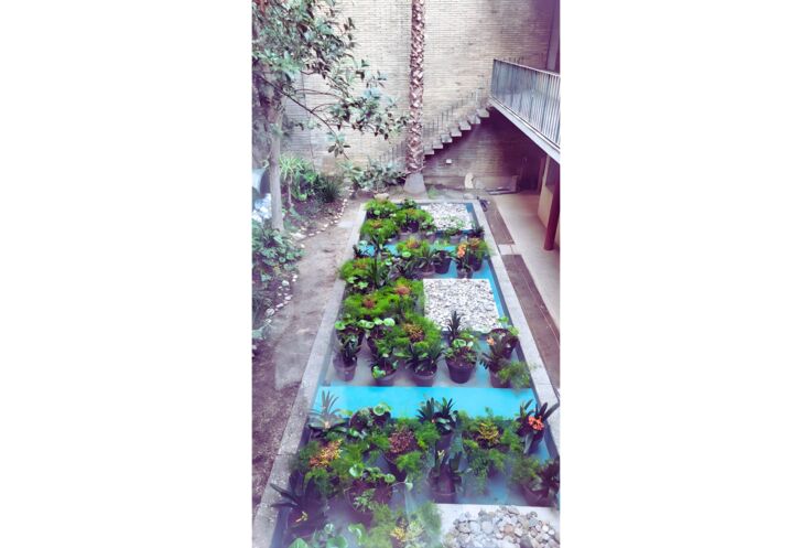 Vista patio interior